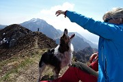 Monte Due Mani (1656 m) con Cima Muschiada (1458 m) dalla Culmine S. Pietro il 26 giugno 2017 - FOTOGALLERY 